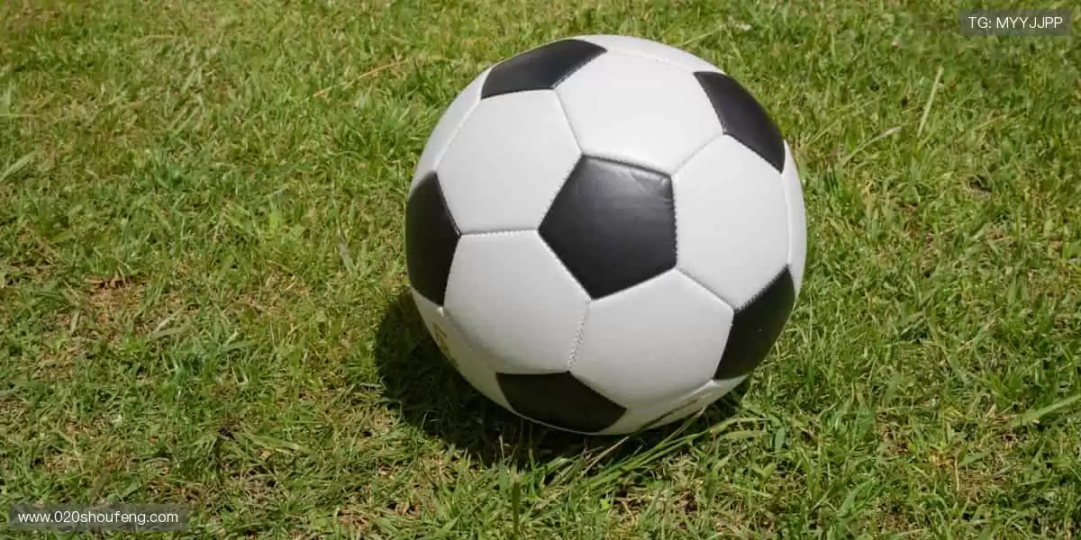 专业解说全程相伴,观赛体验升级不止🌟